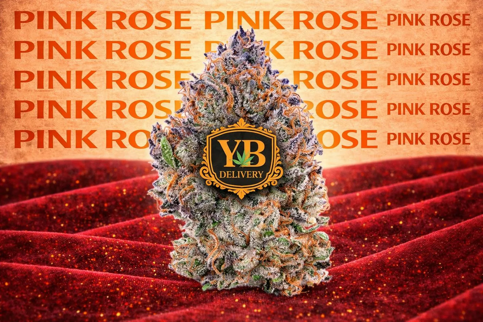 YB | PINK ROSE 33,00% (28G) SHAKE.SATIVA