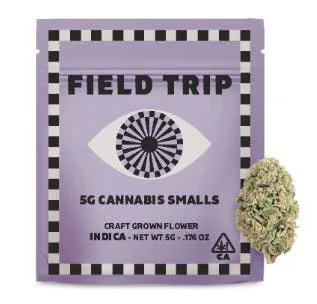 Super Jealous [I] - 5G Prepack Flower