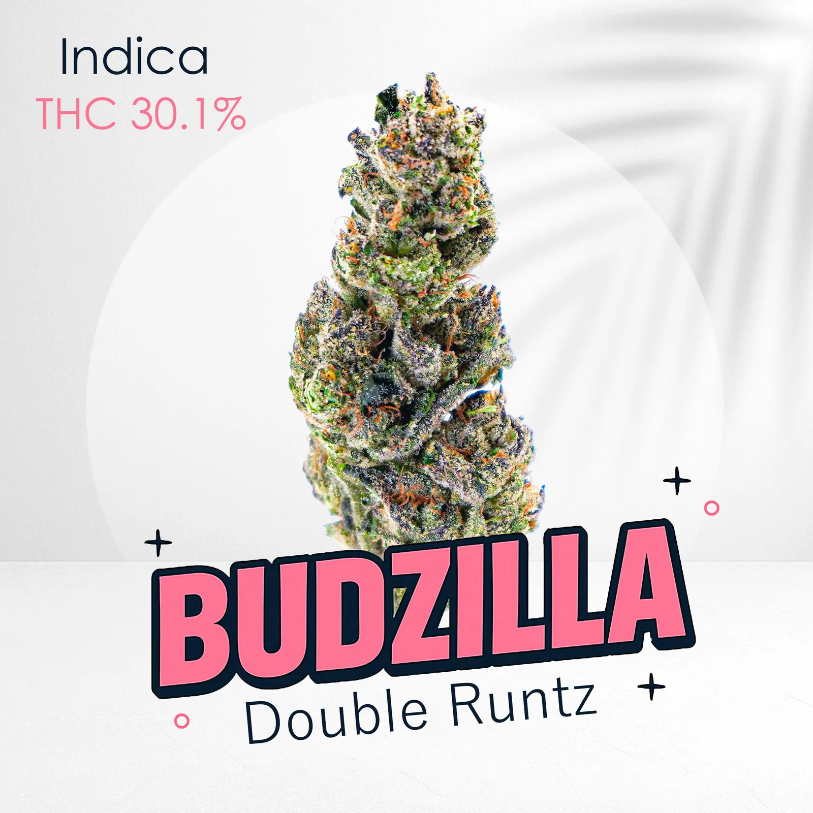 Double Runtz -Premium shelf