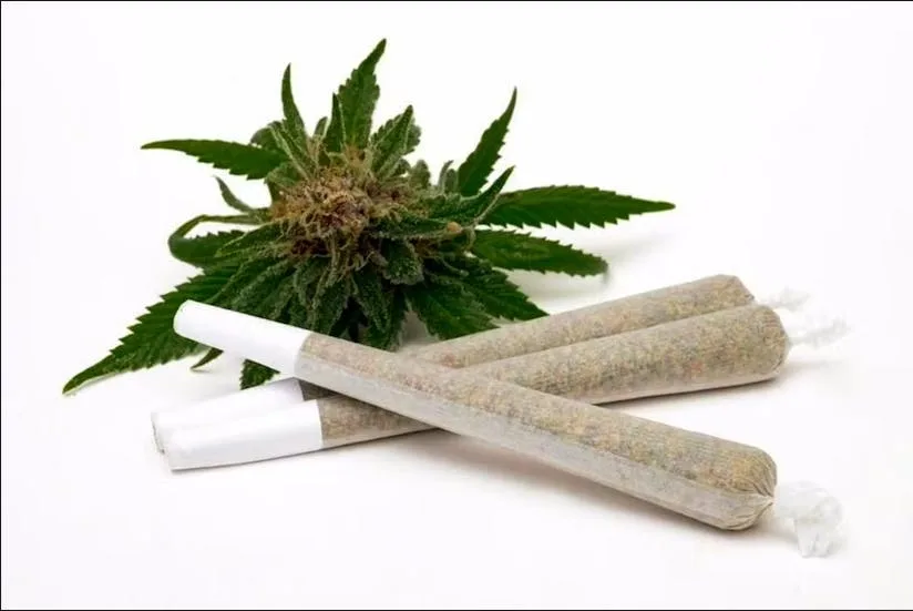 King Size 1G PRE-ROLL ( EXCLUSIVE )