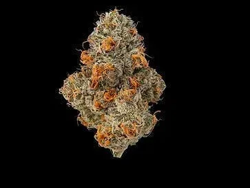 Fig Farms | Krypto Chronic | Big Buds