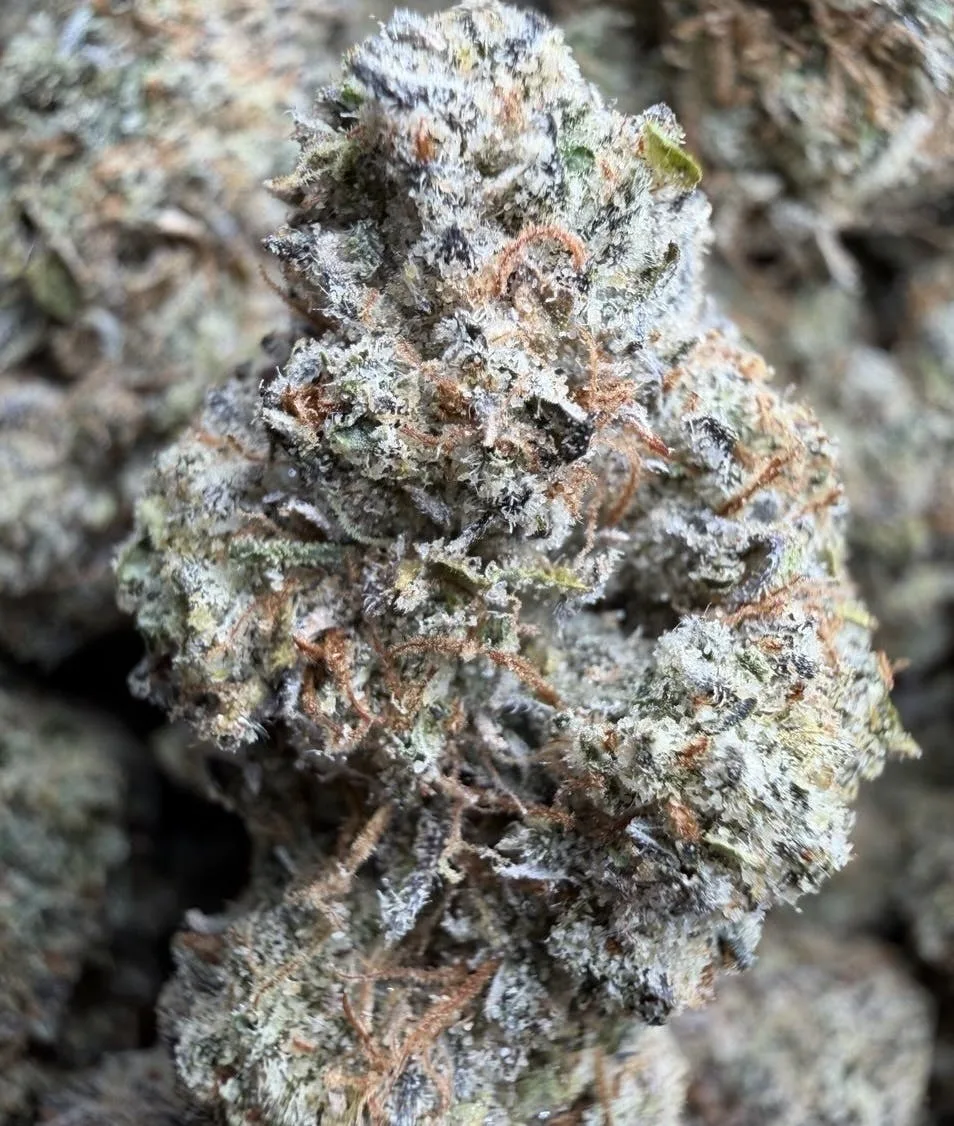 Apple π Cream pie π₯§ $79/$99 indoor