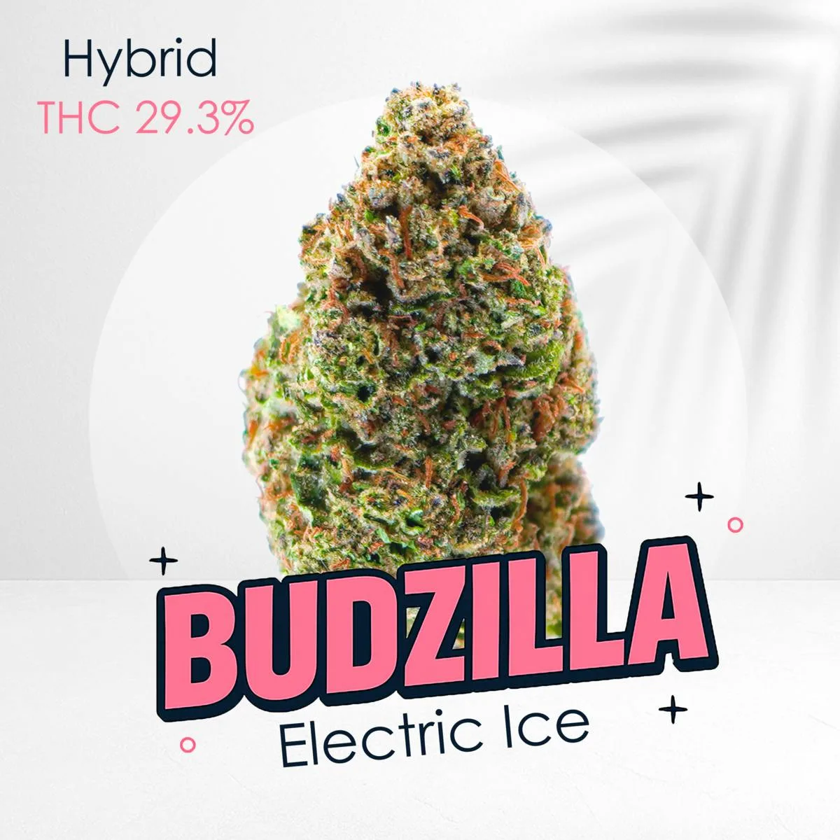 Electric Ice -Premium shelf
