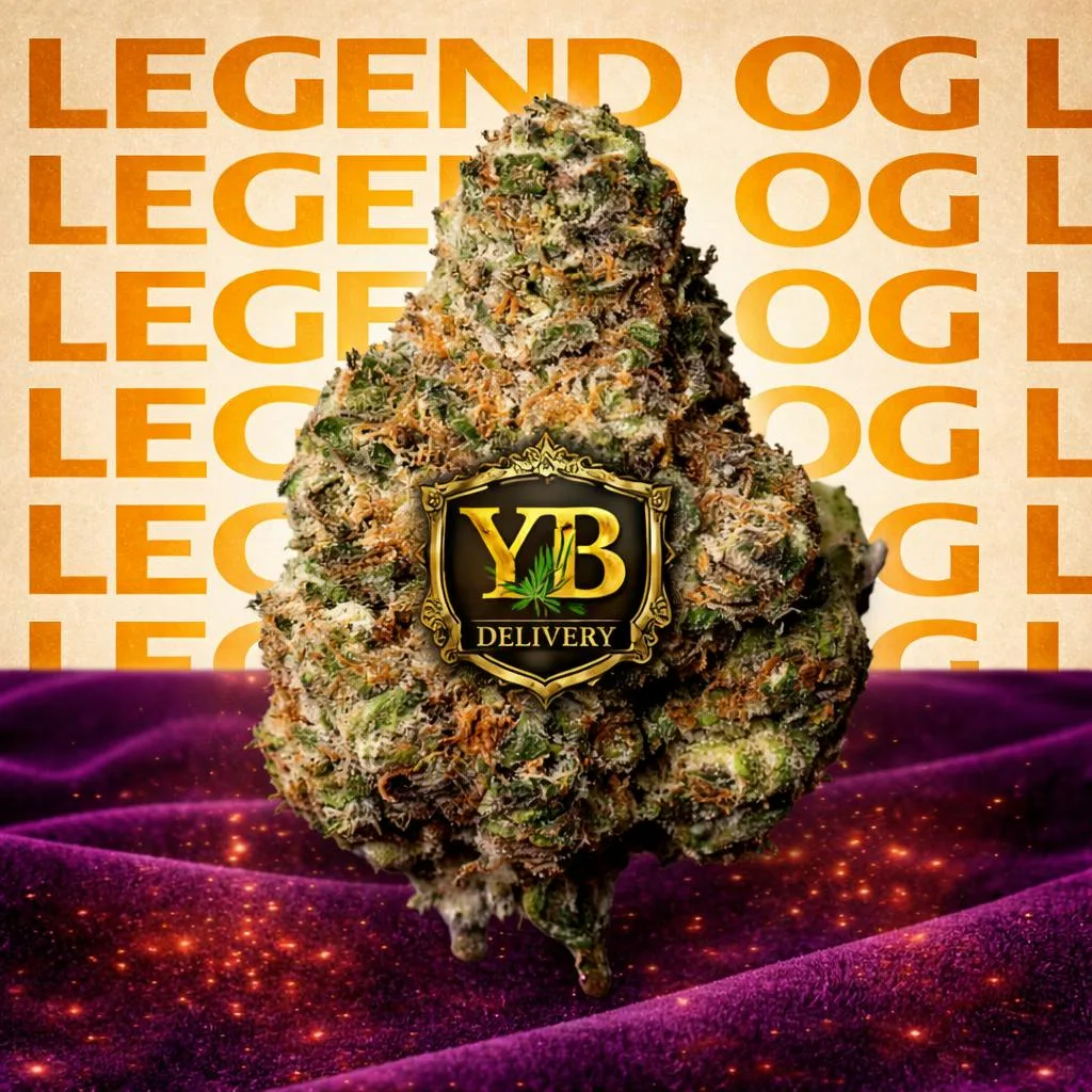 YB | LEGEND OG 30.79% (3.5GPREMIUM FLOWERS).INDICA