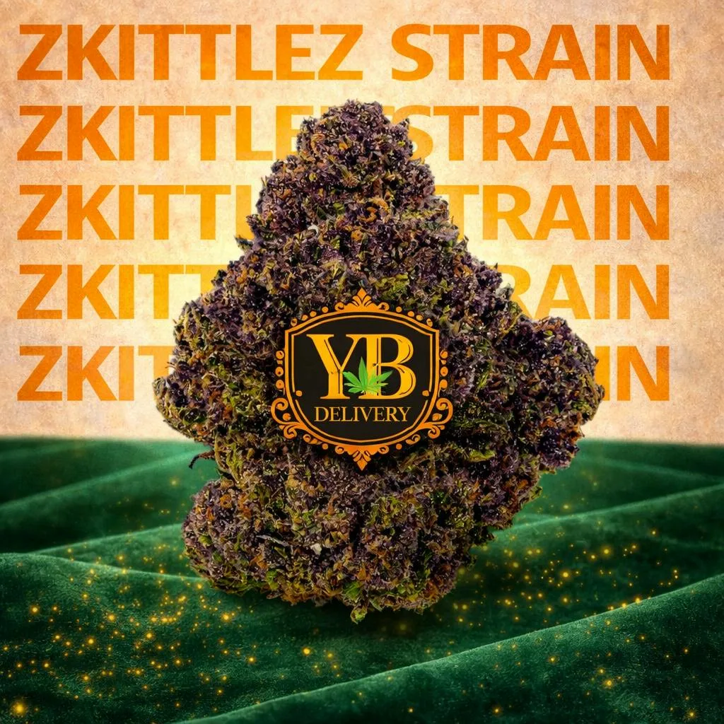 YB | ZKITTLEZ STRAIN 31.22% (7G PREMIUM FLOWERS)HYBRYD
