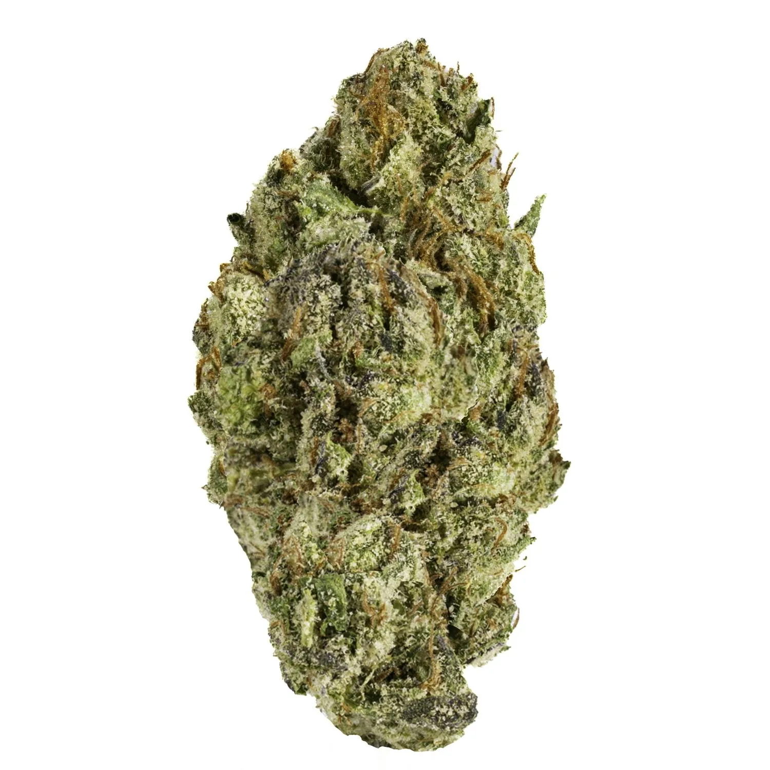 Gelato 33 - 14G Premium Flower