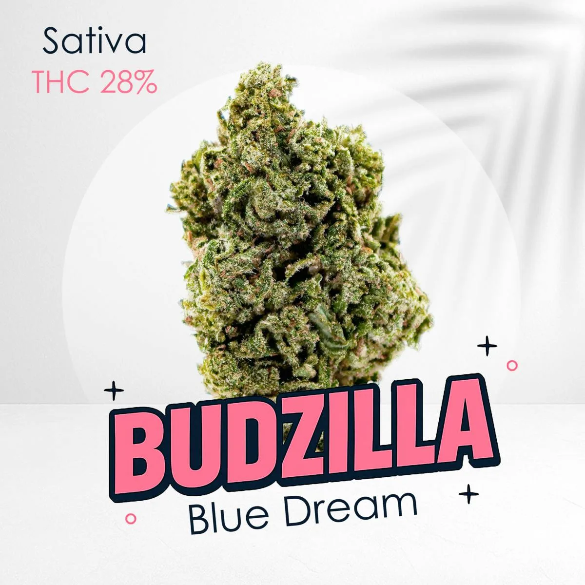 Blue Dream - Top Shelf Flower