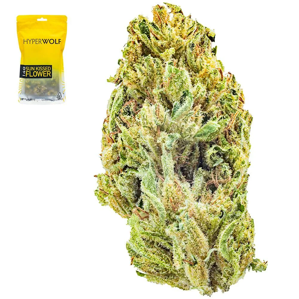 SFV OG X Chemdog Half Ounce