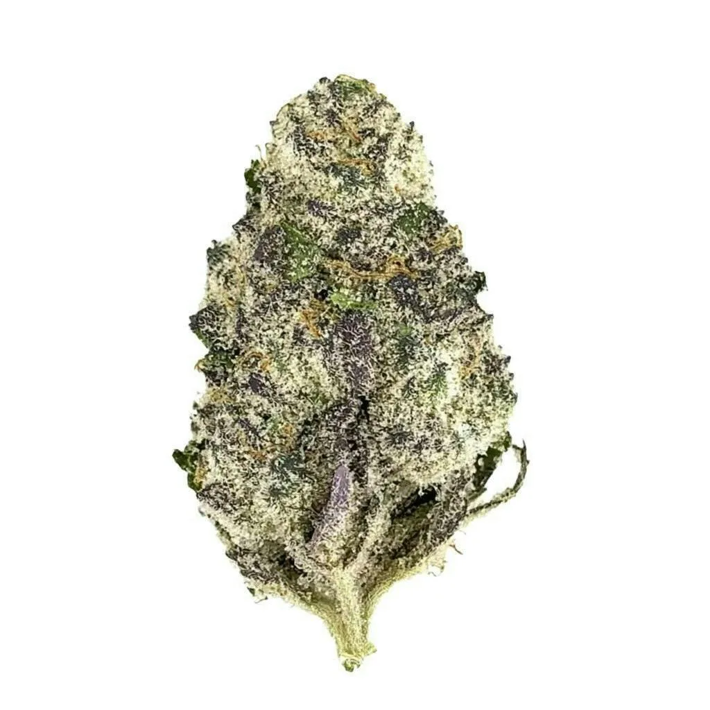 SUPER BOOF - TOP SHELF FLOWER