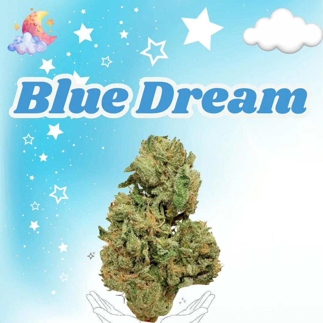 Blue Dream | Premium Flower | 3.5g | Eighth