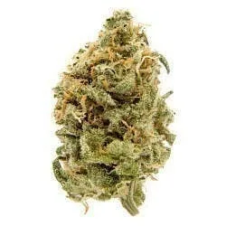 BLUE DREAM - ORIGINAL - TOP SHELF FLOWER