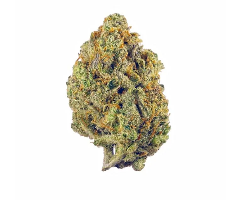 Papaya Cake 14g - Greenhouse Flower