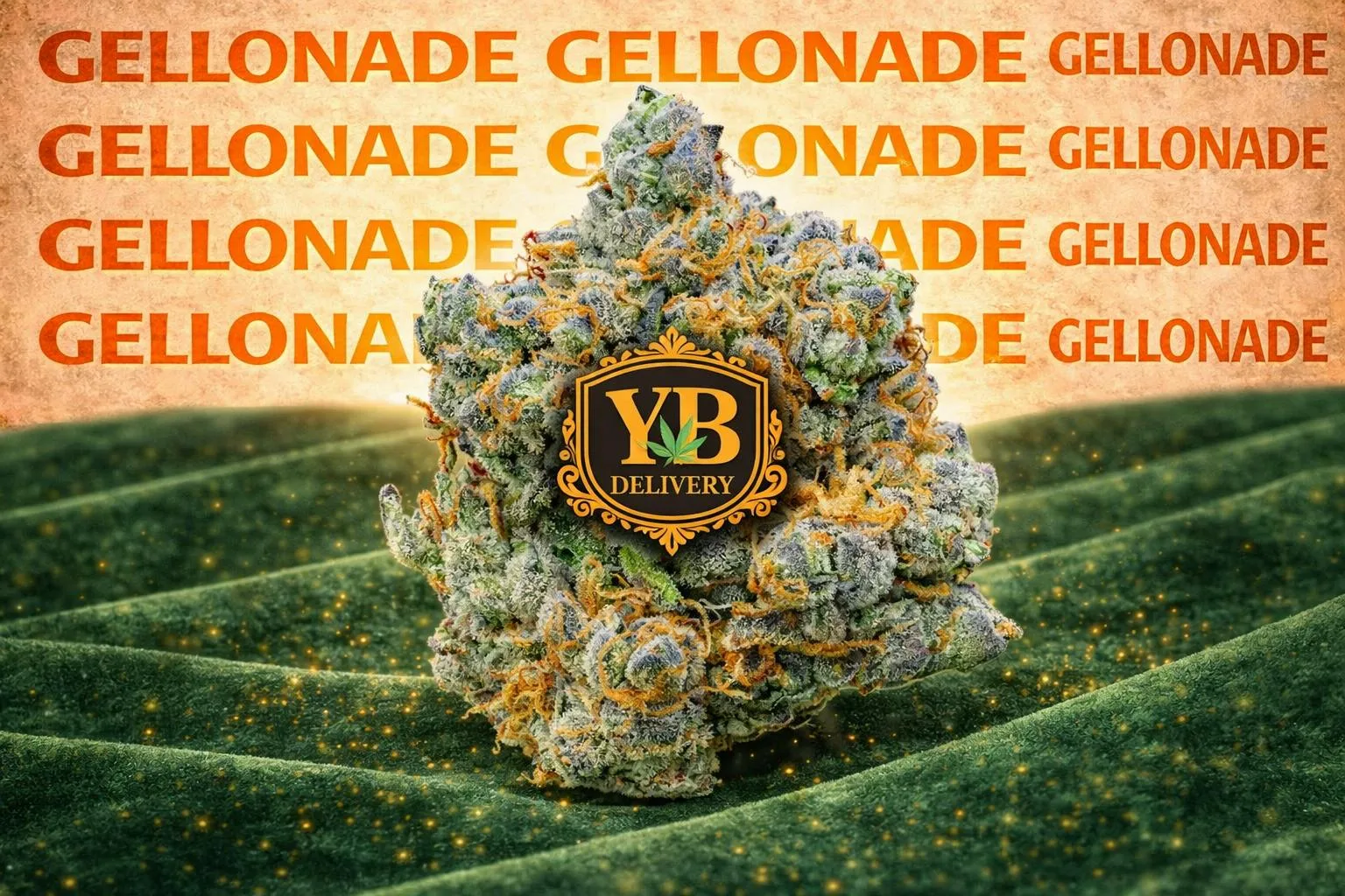 GELONADE 30.31% (28G PREMIUM FLOWERS).HYBRYD