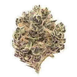 PURPLE REIGN - TOP SHELF FLOWER