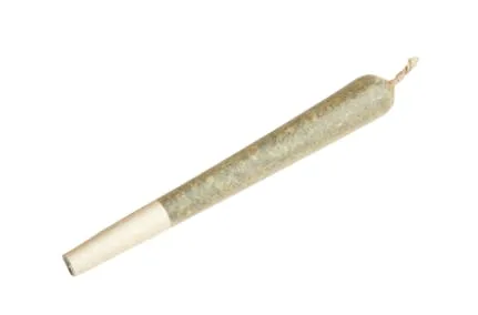 Hashtag - Preroll - Infused - Grand Daddy Purp - 1.75G