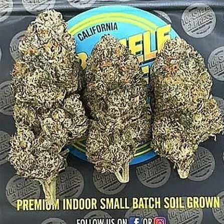 TSE Lantz Premium Oz (28g)