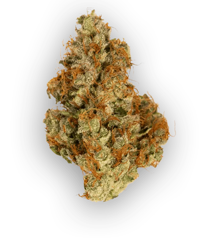 TOP SHELF - SOUR DIESEL 14G SATIVA