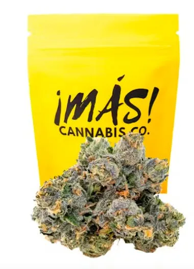 Mas Fla Mango Indoor