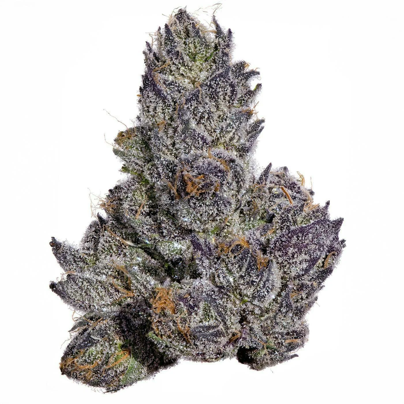 Fig Farms | Cherry Martinelli | Big Buds