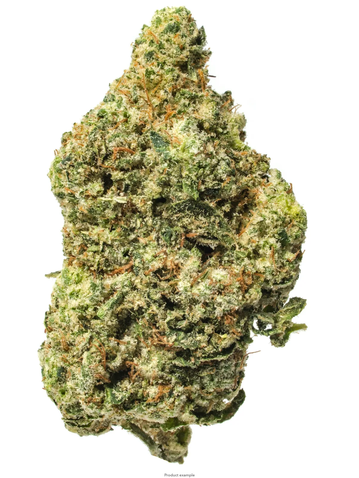 Biscotti 7g - Premium Indoor Flower