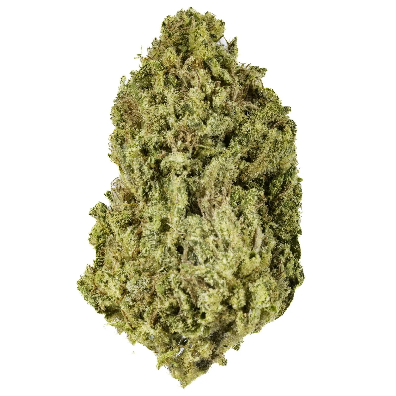 Honeydew - 28G Premium Flower