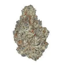 WATERMELON CHERRY