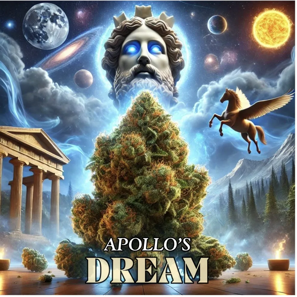 Apollo's Dream -14G-[ TOP ] -Exclusive Flower