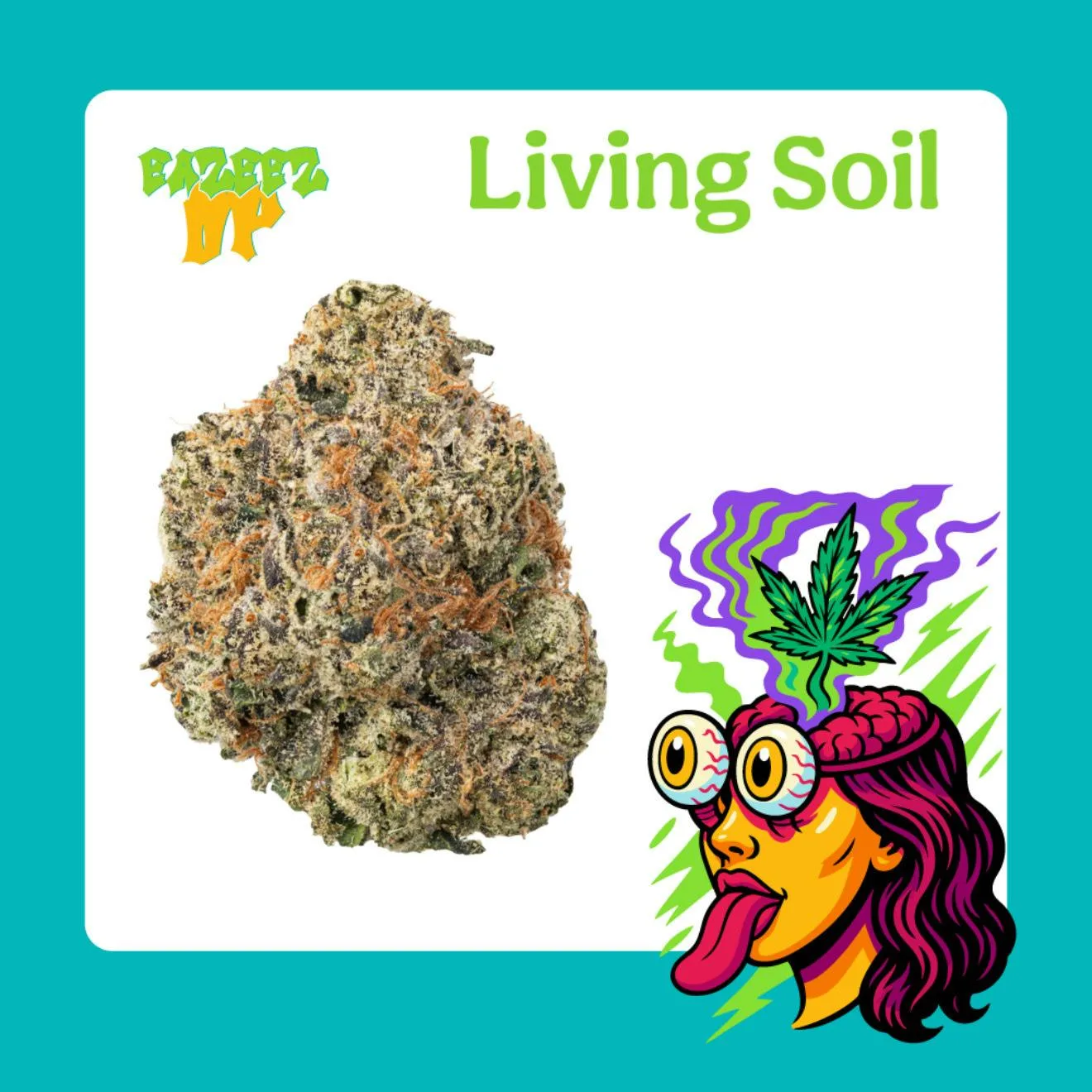 Nishi - Living Soil Organic Indoor Flower - New Drop- (28g-1oz)