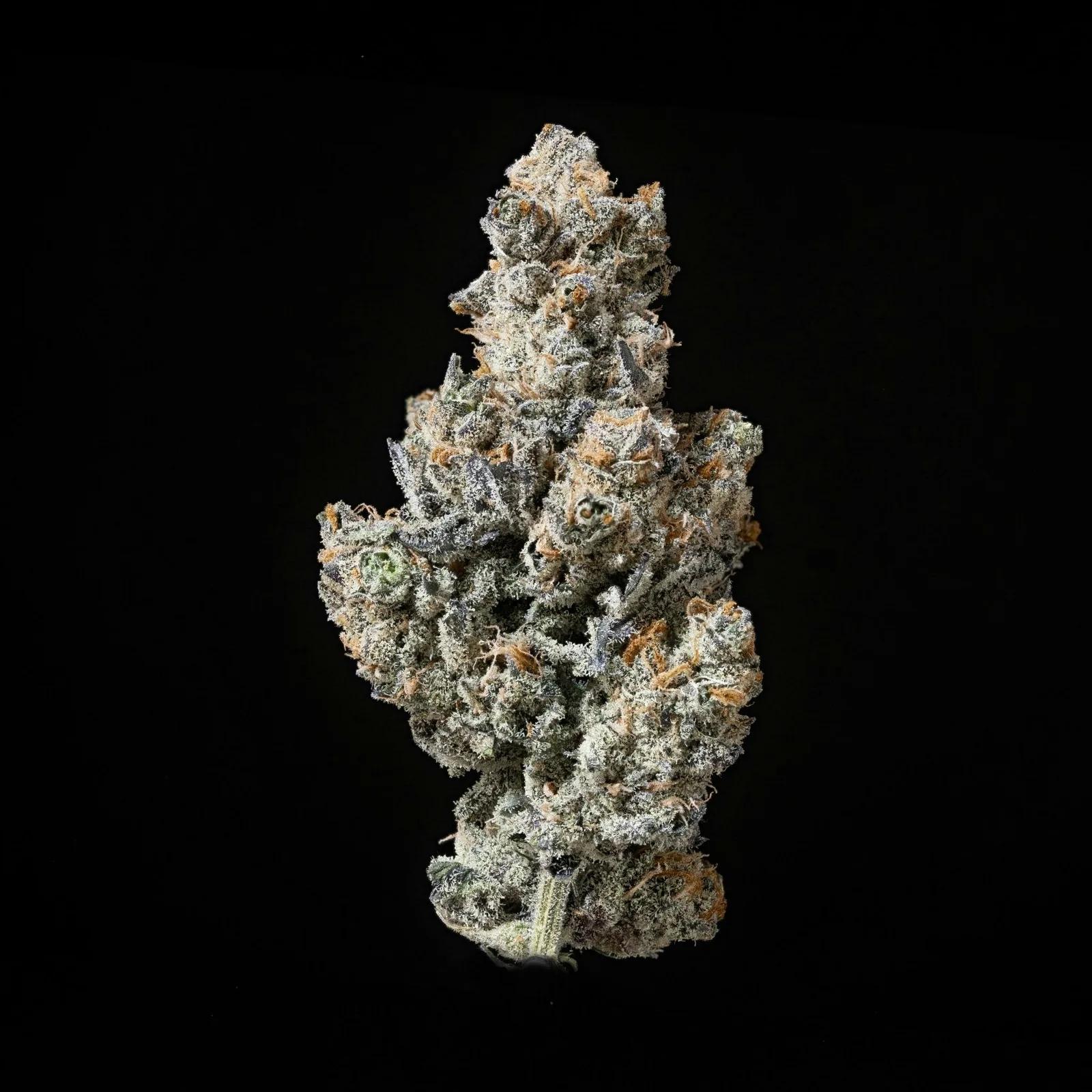 Permanent Pie - Flower 3.5g Jar
