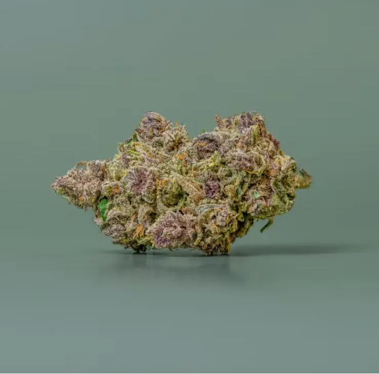 Dragon Fruit - Hybrid - 32.45%