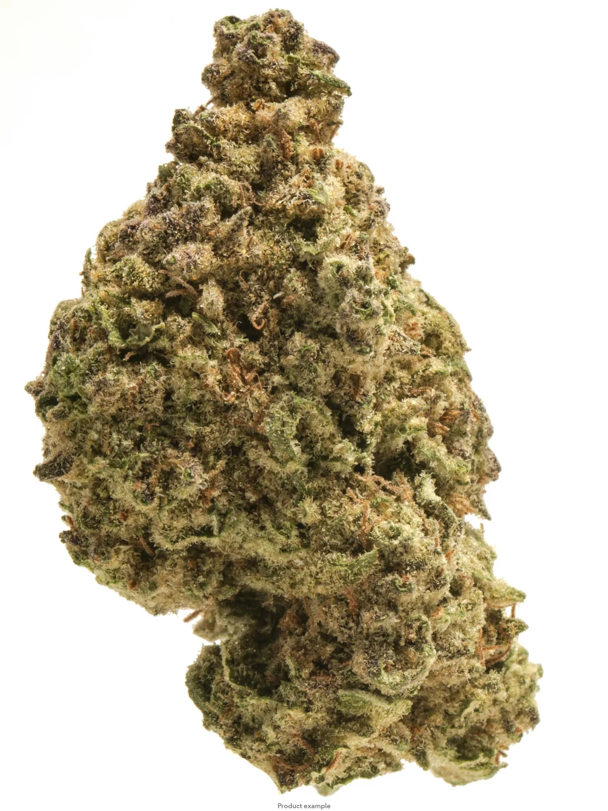 $80 Ounce of the Day - Zapotec