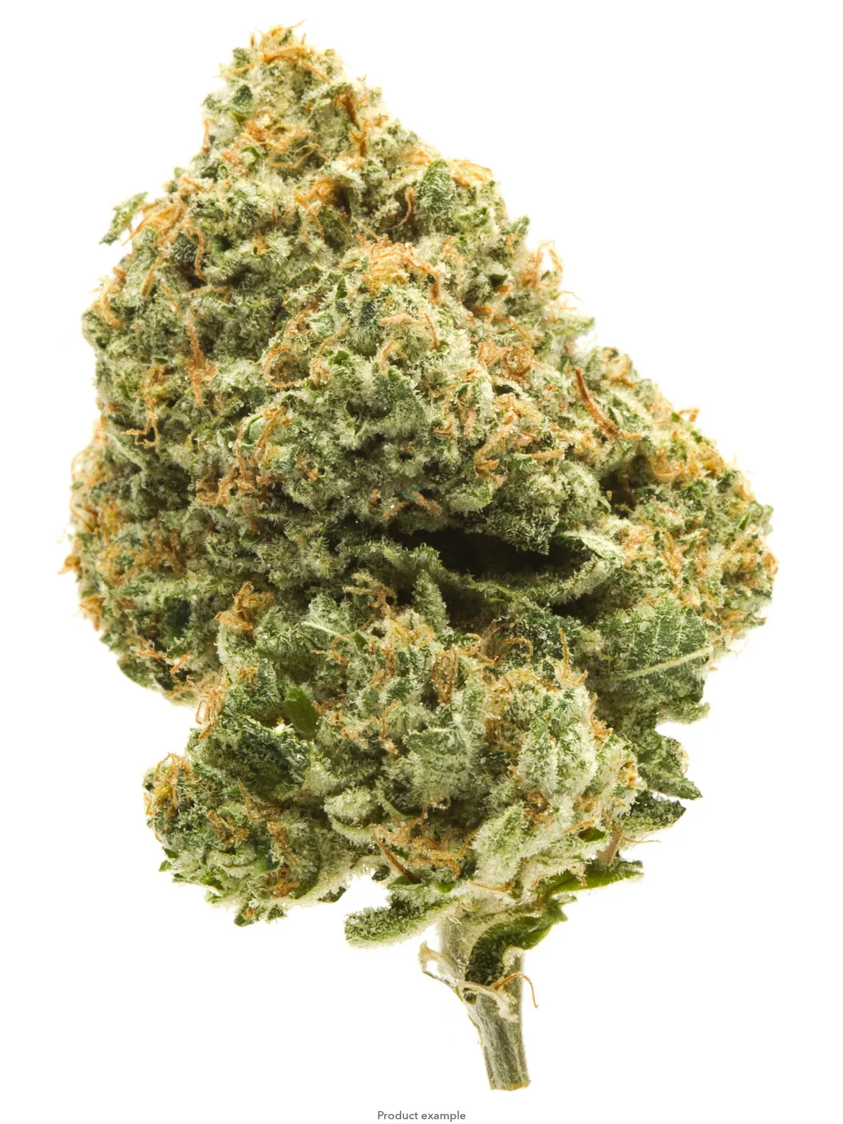 1850 Cannabis | Hardcore OG 14g