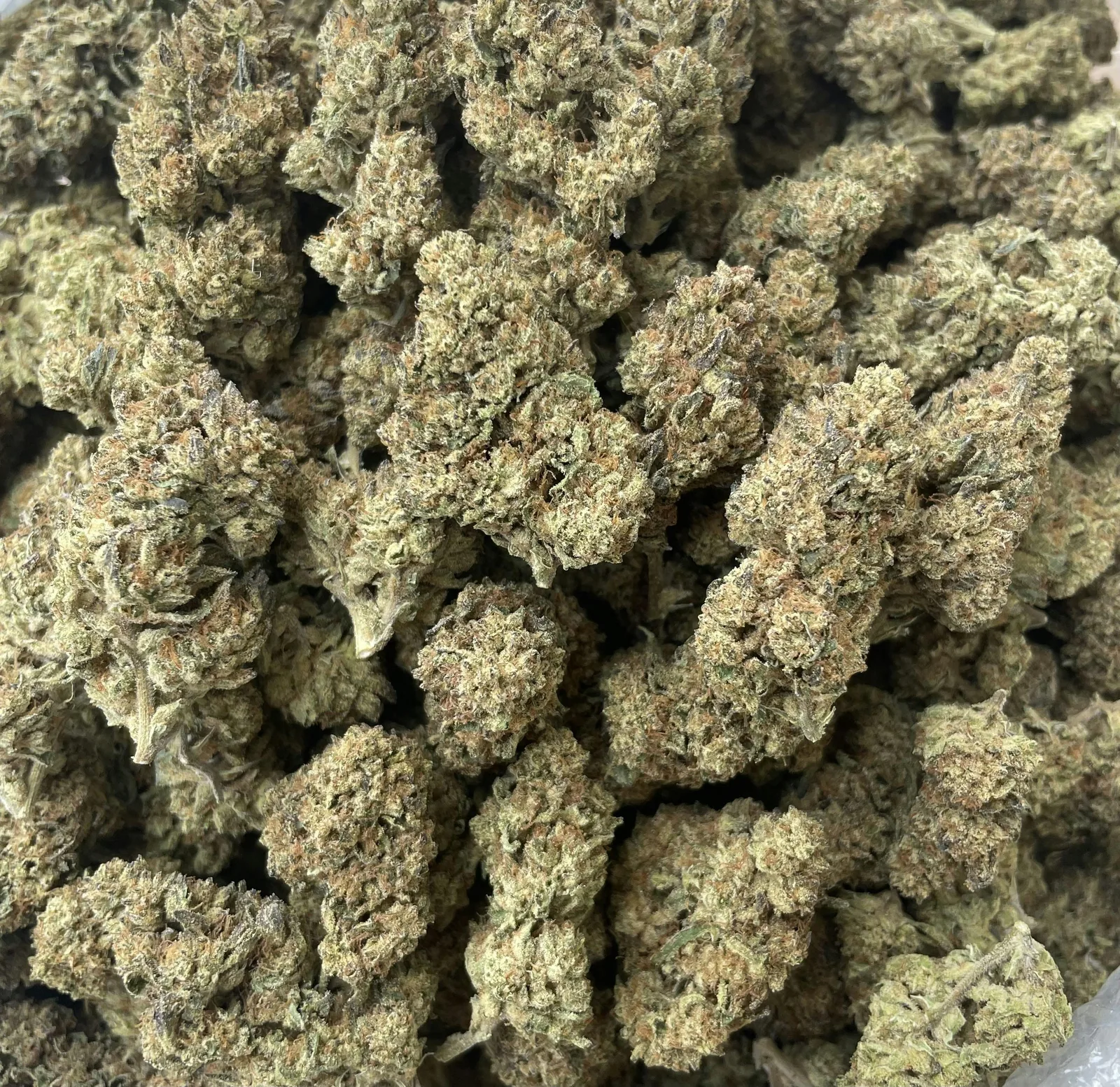 LEMON OG | 14G Sungrown Flower Special