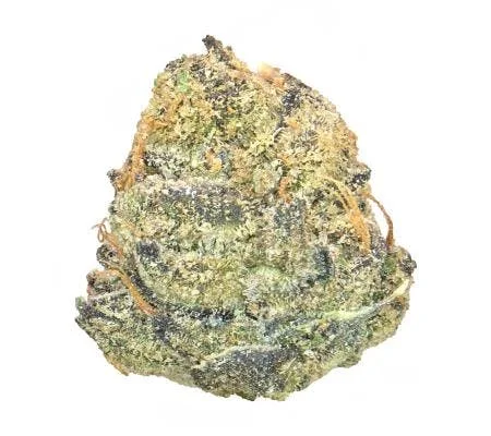 PLUM POPPERZ (14G) *ULTRA EXOTIC SHMEDIUMS* (I/H)