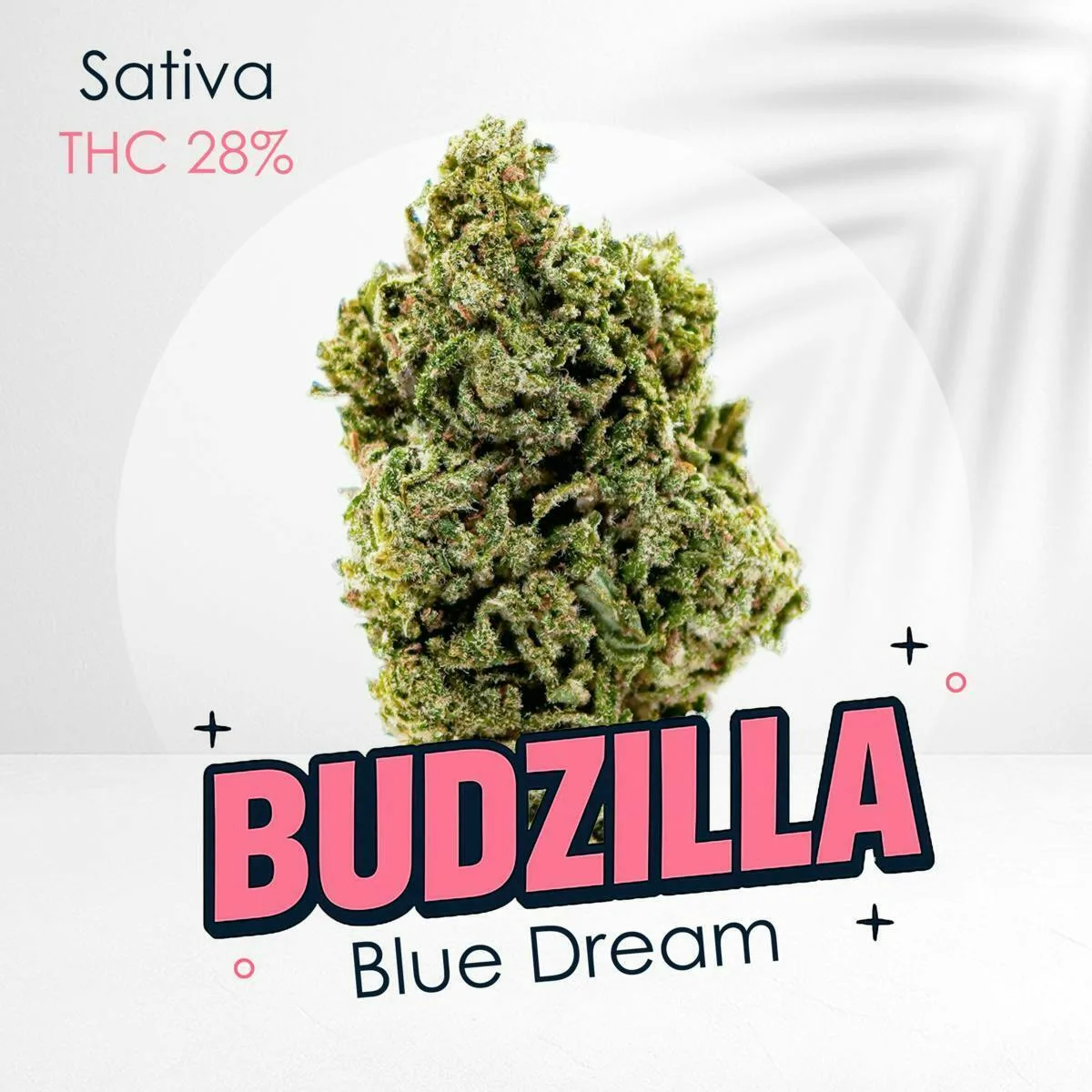 Blue Dream - Top Shelf Flower