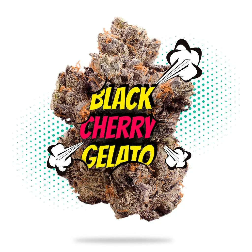 Black Cherry Gelato Top Shelf Indoor - 3.5g - Hybrid