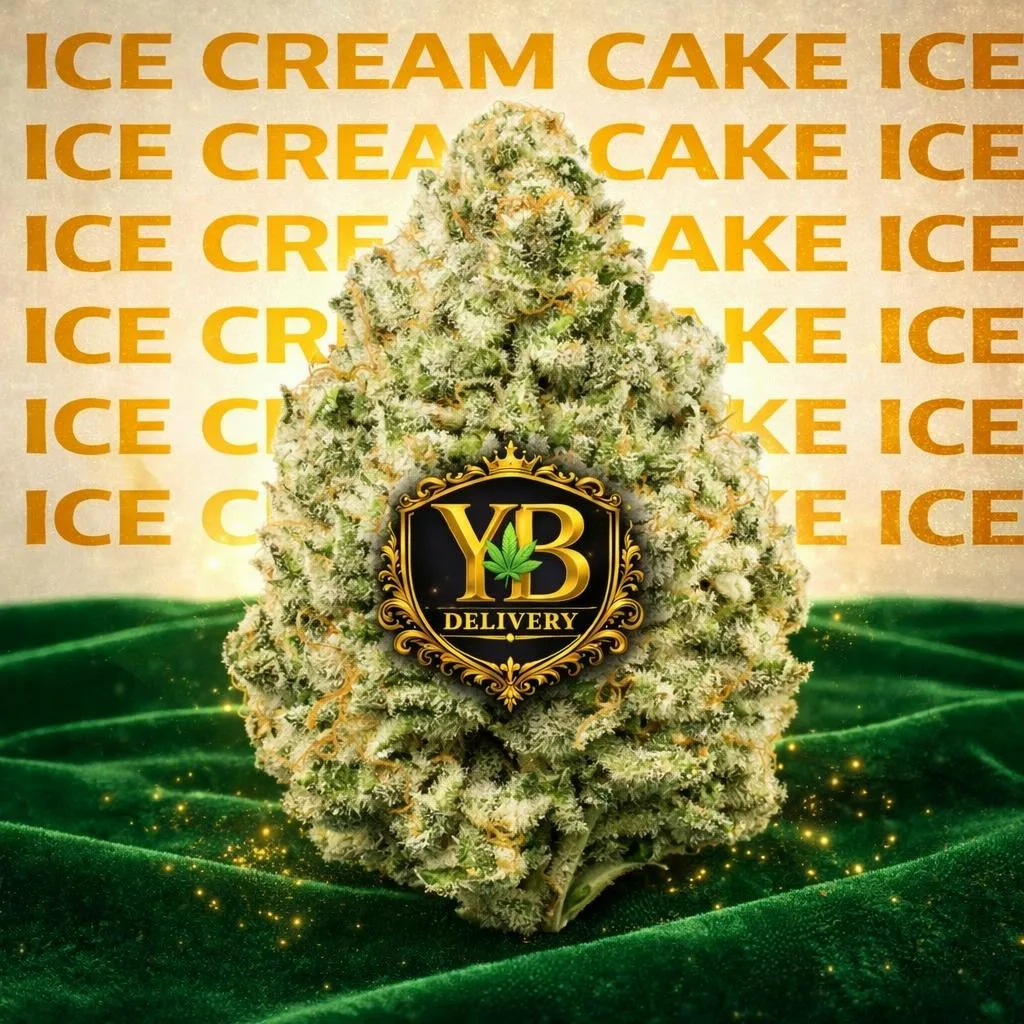 YB | IICE CREAM CAKE 30.29% (28G PREMIUM FLOWERS HYBRYD)