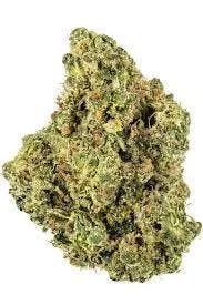 TOP SHELF - GORILLA OG 14G 31%