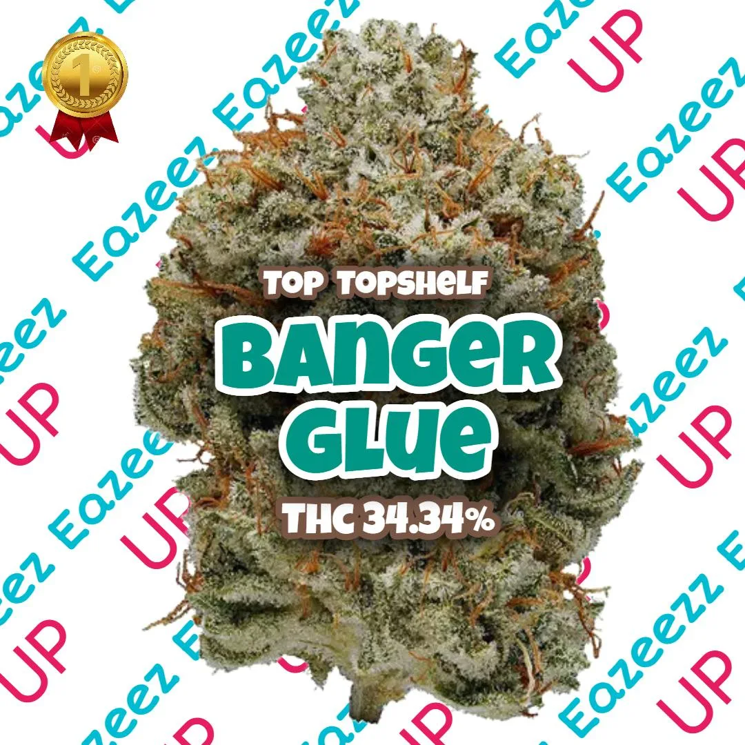 Banger Glue - TOP Topshelf - (3.5g-1/8oz) - Hybrid