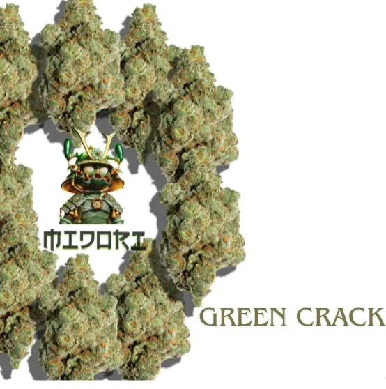 Midori Indoor Flowers - Green Crack