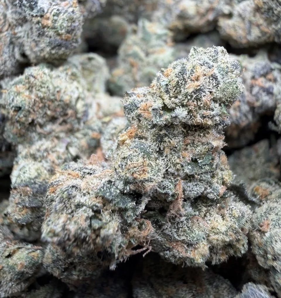 Blue cookies 🍪 $69/$99 indoor medium size nugs