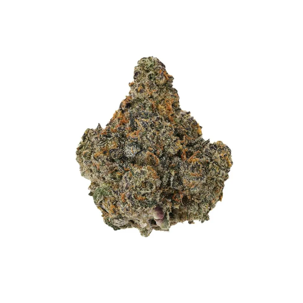 PURPLE CHAMPAIGNE - PREMIUM SHELF