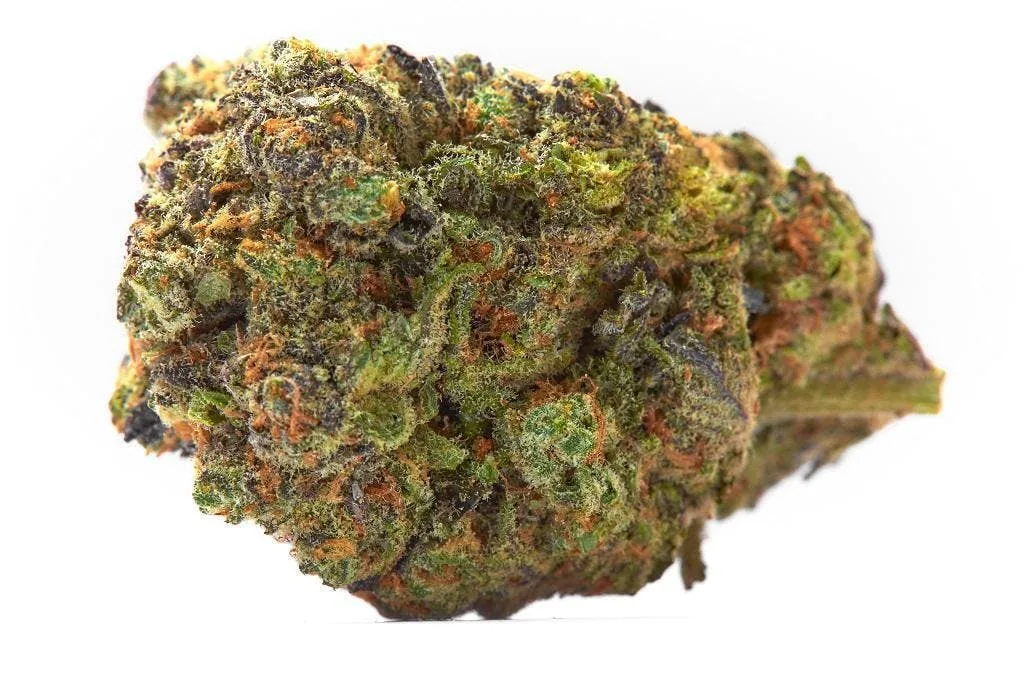14G • Stone Road | Sicilian Gelato | HYBRID | SMALLS