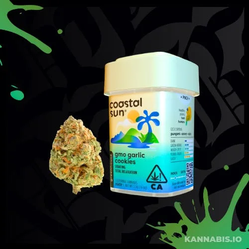 GMO Garlic Cookies Greenhouse Flower 3.5g