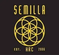 Semilla - Semilla - Shirt (Blue) - Semilla - Shirt (Blue)