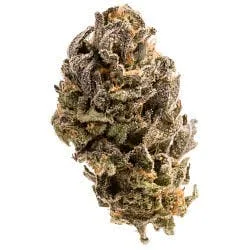 BLACK MAMBA 14g - Greenhouse Flower