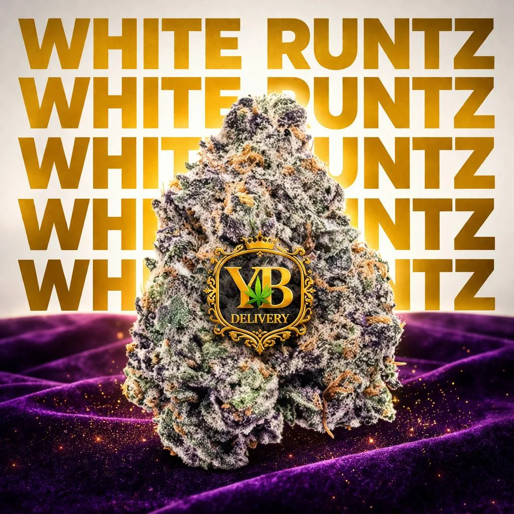 YB | WHITE RUNTZ 35.34% ( 14G TOP-SHELF FLOWERS). INDICA