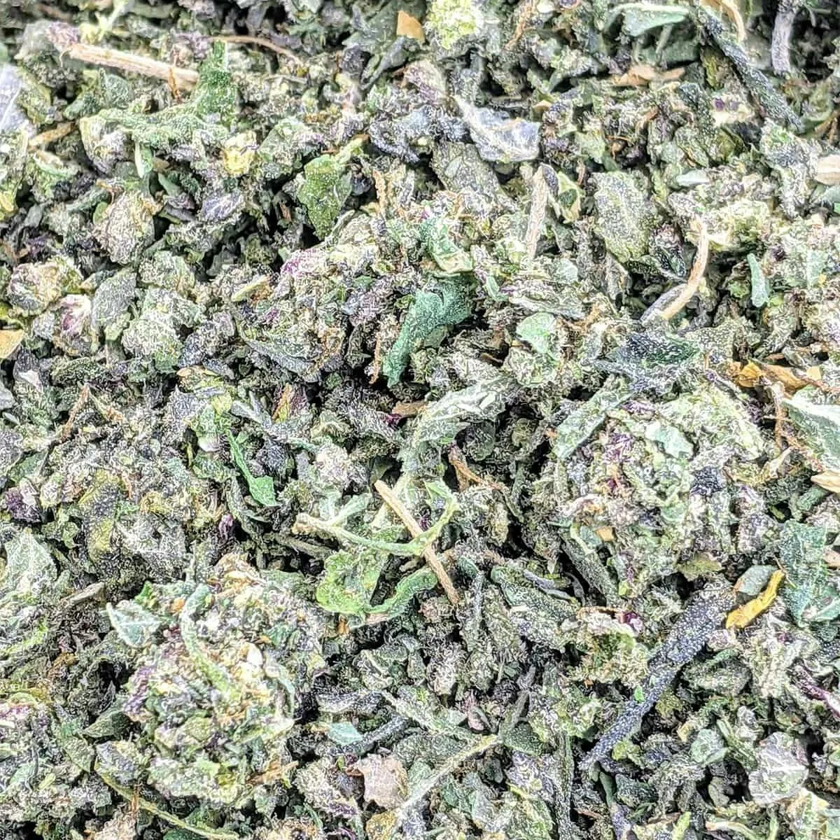 LA Pop Rocks (TKB X Z ANIMAL) - 7g Sugar Shake