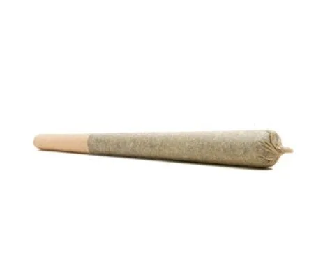 CGO - Triple Lindy Flower Pre-Roll - 1.5G