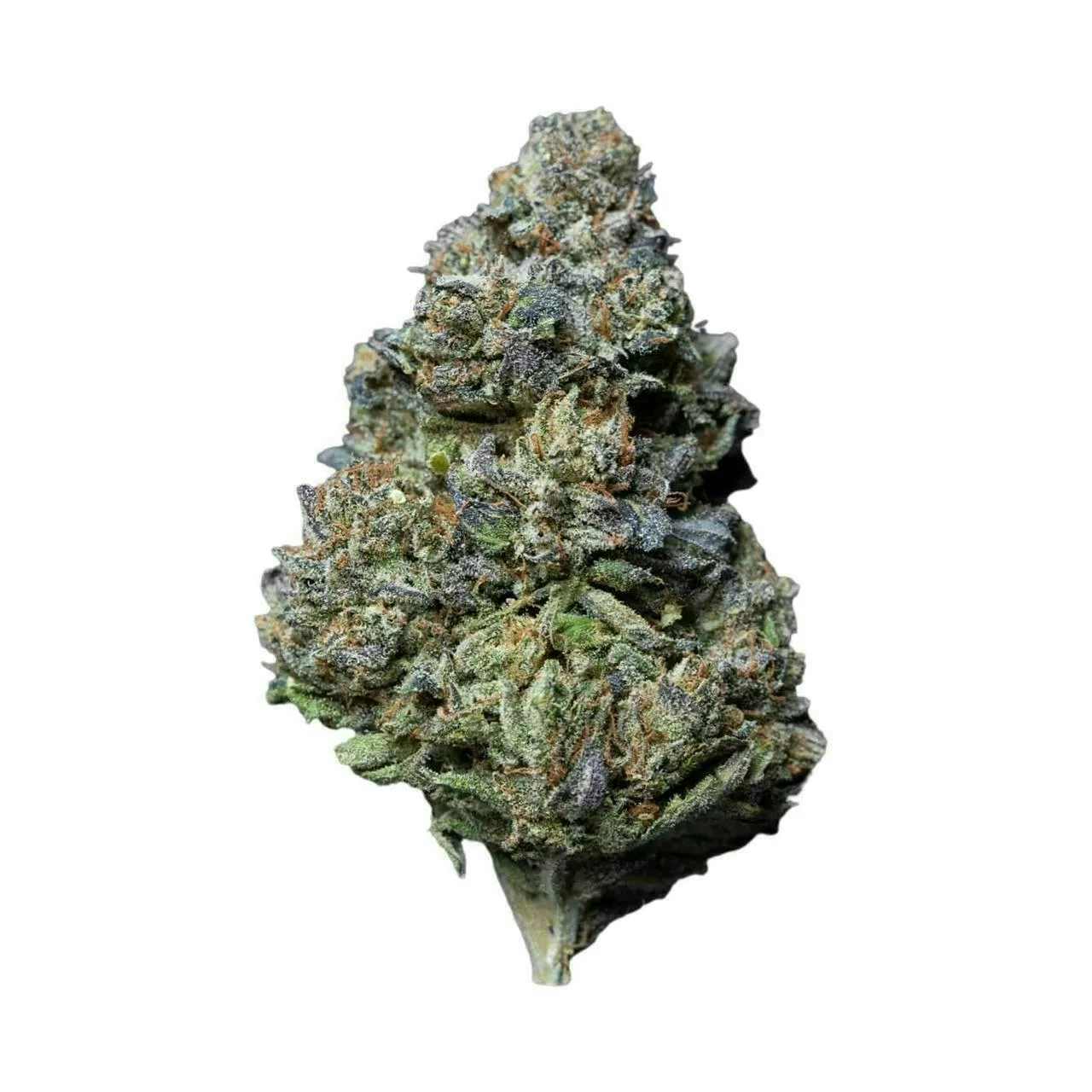 KUSH MINTZ - EX PREMIUM SHELF FLOWER